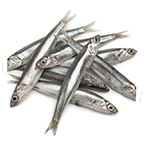 anchois