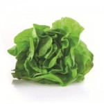 salata