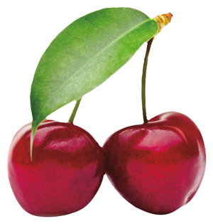 Footer Image